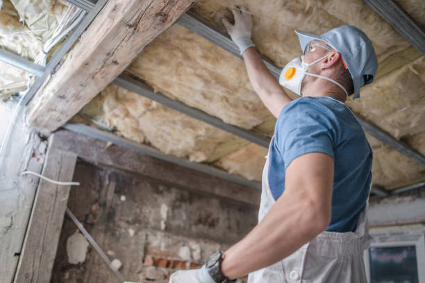  Lake In The Hls, IL Insulation Contractor Pros