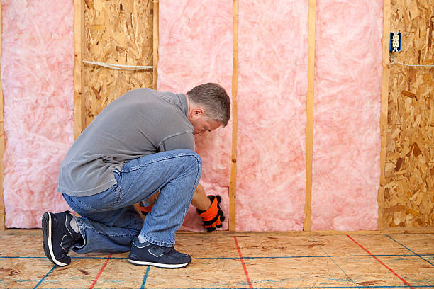 Best Spray Foam Insulation in Lake In The Hls, IL